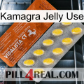 Kamagra Jelly Use 42